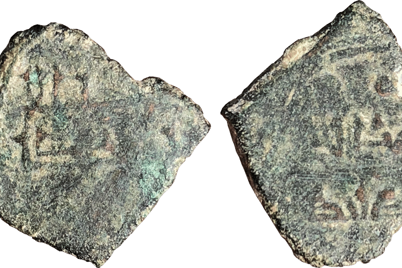 Imagen de 02 a6 tipo 04.png