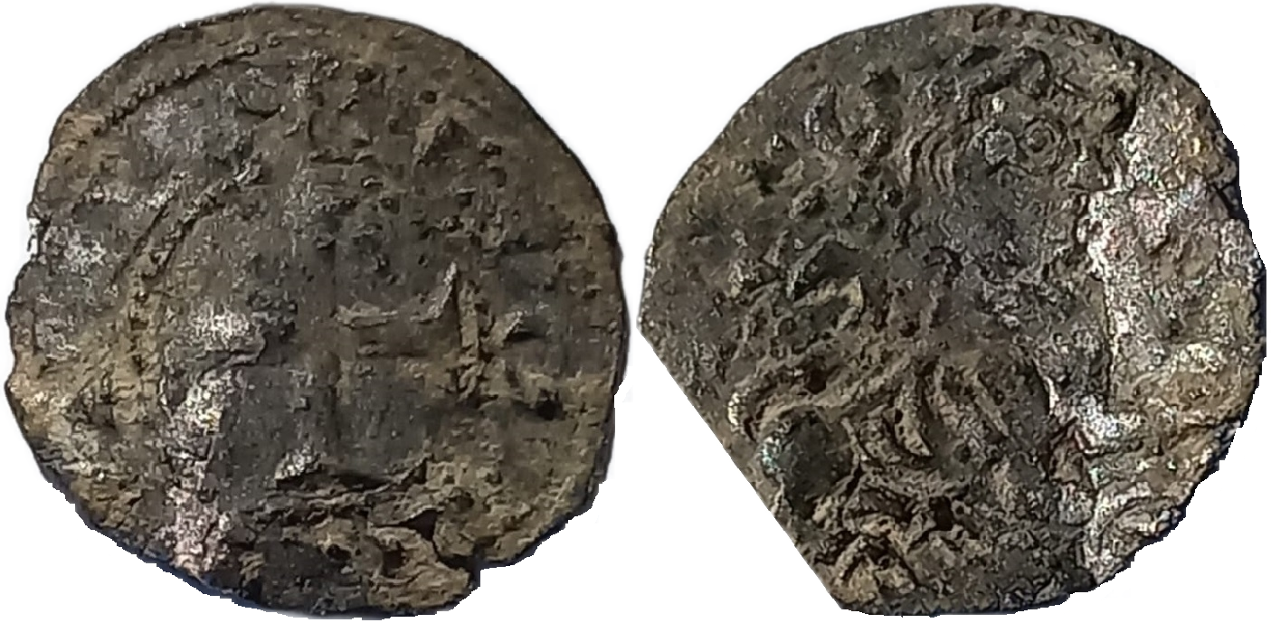 Imagen de la moneda Tipo 48. Meaja del León Coronado