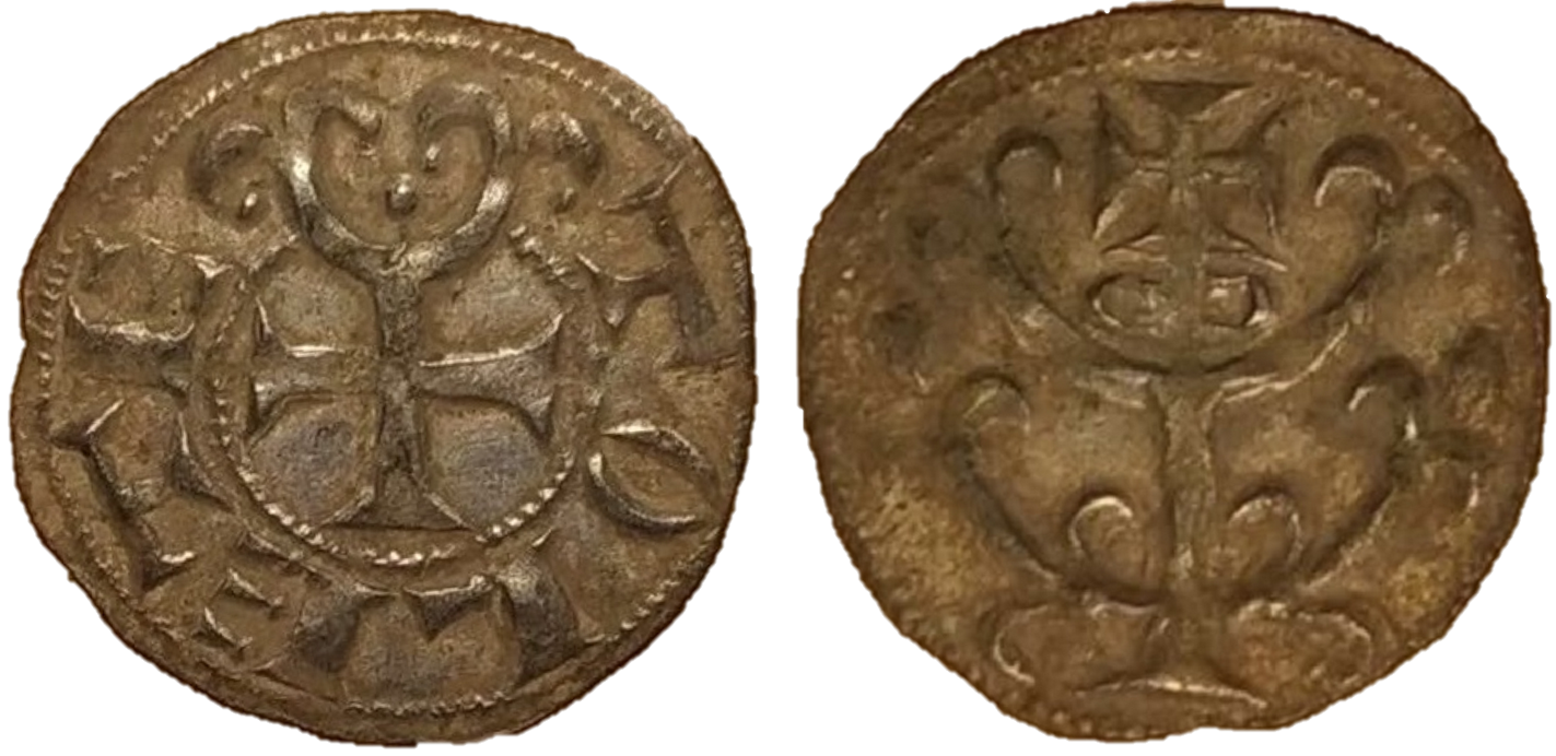 Imagen de la moneda Tipo 13. Dinero de Tutoría del Árbol “Tolete”