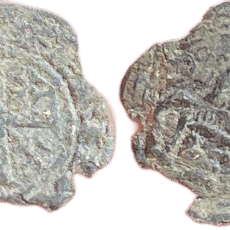 Imagen de 07 f2 tipo 34.png