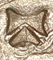 Contramarcas Letras (1475-1504) - Imagen 14