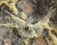 Contramarcas Símbolos Iconográficos (1475-1504) - Imagen 7