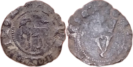 Tipo 10. Medio Blanco del Agnus Dei - Imagen 17