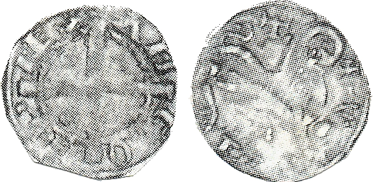 Tipo 6. Dinero de las Cortes de Benavente