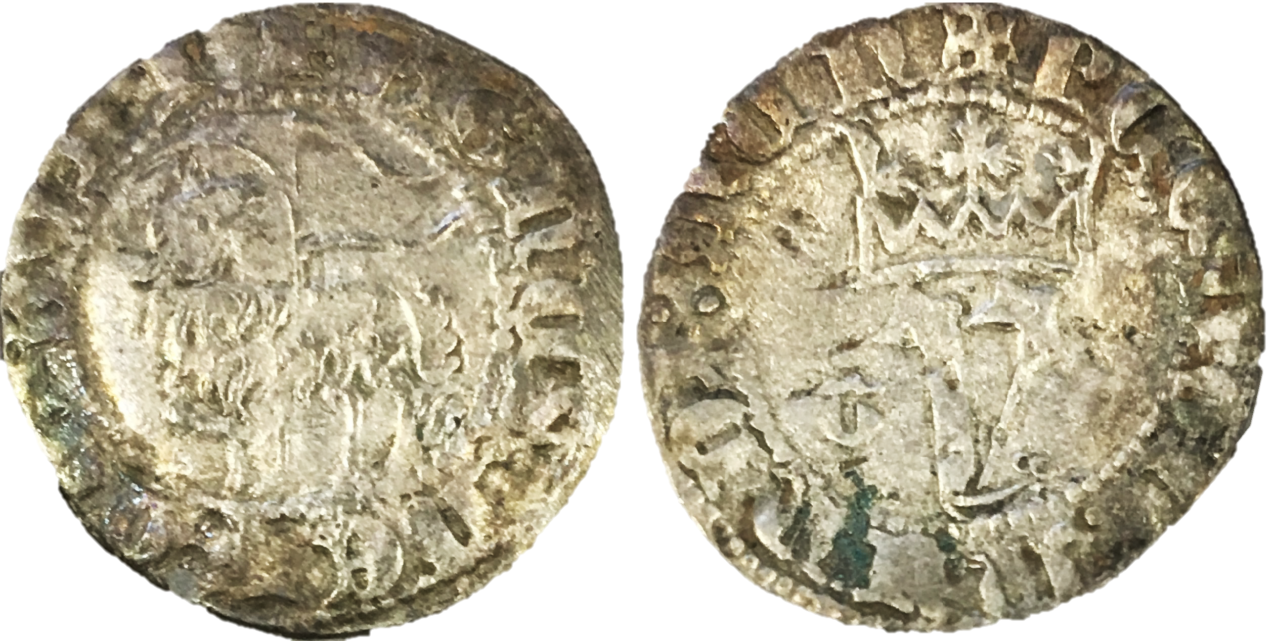 Tipo 9. Blanco del Agnus Dei