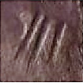 Contramarcas. Tipo E: Signos (1475-1504)